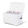 Cooler Marine Profile II Igloo 47 Litros