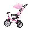Triciclo Paseo Infantil Rosa Bebesit