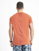 Polera  Hombre Alpinextrem