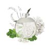 Perfume Cacharel Noa EDT 30 ml