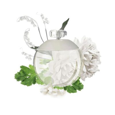 Imagen 2 del producto Perfume Cacharel Noa EDT 30 ml