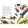 Libro Las Aventuras de Romeo Palote Pablo Noguera Zig-Zag