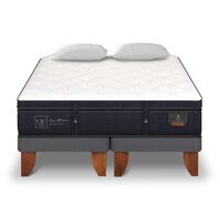 Cama Europea CIC Base Dividida 2 Plazas Súper Premium + Almohadas Viscoelásticas