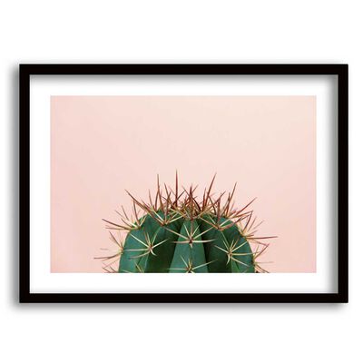 Imagen 1 del producto Cuadro Decorativo Retela Pink Cactus 50 x 35 cm