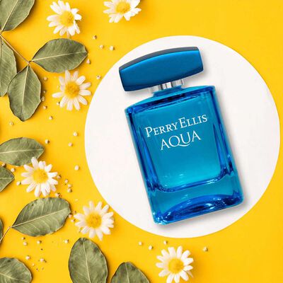 Imagen 2 del producto Perfume Edt Perry Ellis Aqua For Men 100 Ml