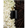 Perfume Ralph Lauren Woman Intense Black EDP 100 ml