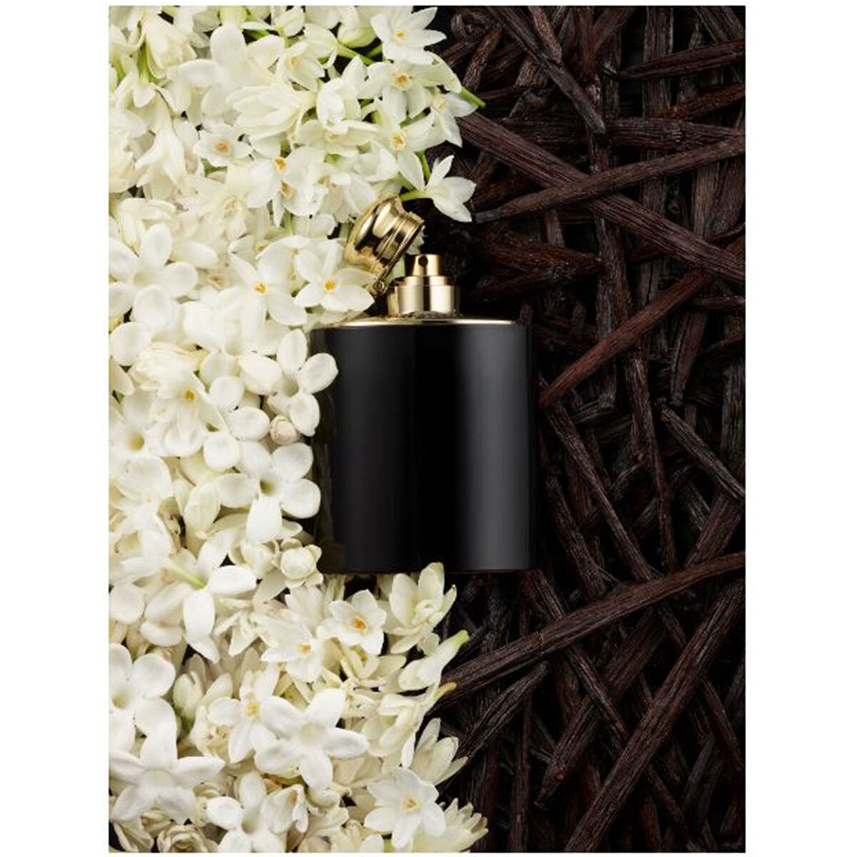 Perfume Ralph Lauren Woman Intense Black EDP 100 ml