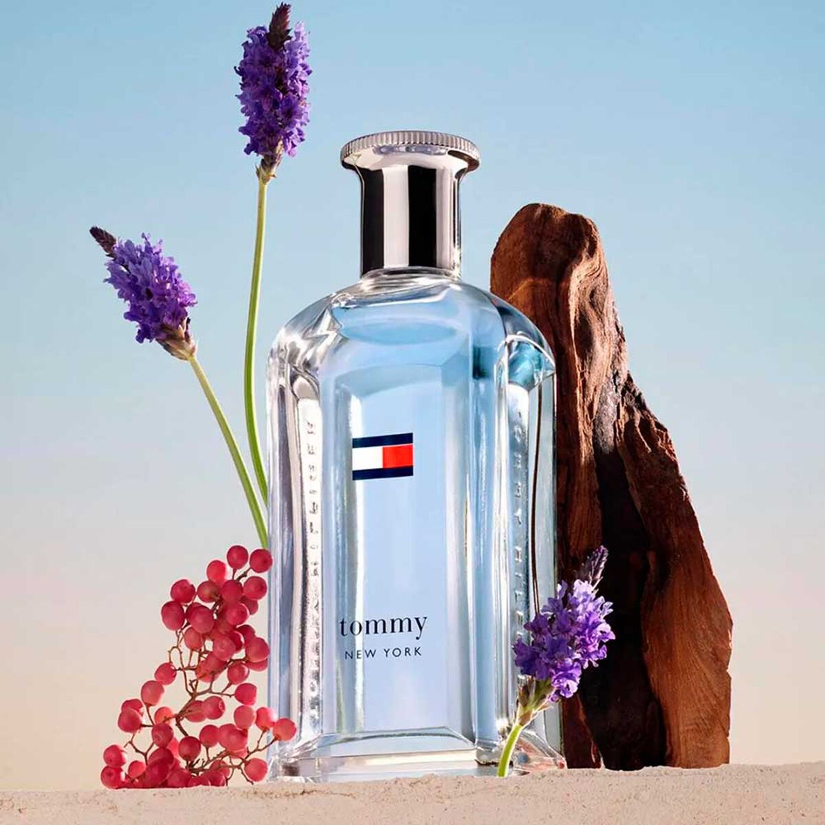 Perfume Tommy Hilfiger Hombre New York 100 ml
