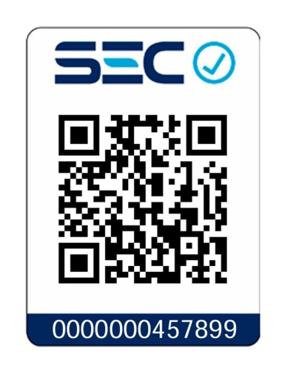 Cepillo Modelador Rotatorio Gama New 2300