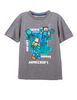 Polera de Algodón Niño Minecraft
