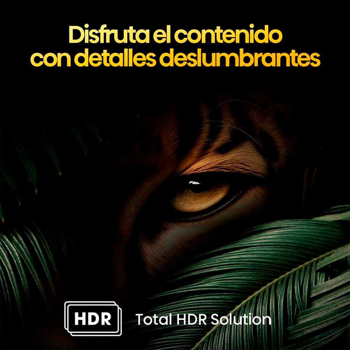 QLED 43'' Hisense 43Q6N Smart TV 4K