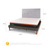 Cama Europea Curve CIC King Bee Comfort + Respaldo
