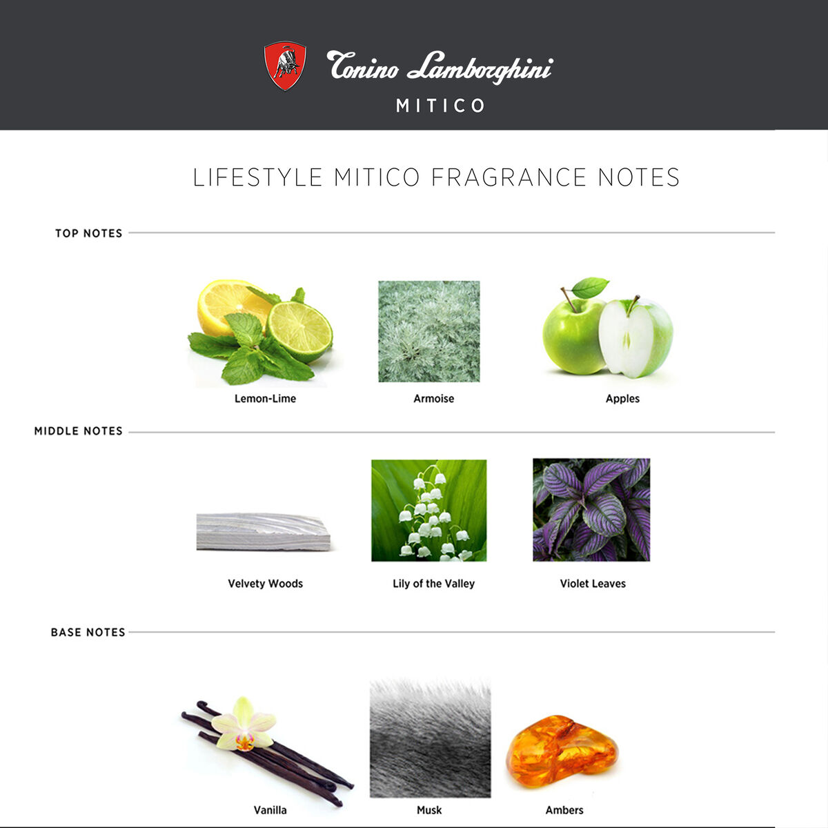 Set Perfume Hombre Tonino Lamborghini Eau de Toilette Prestigio  15 ml + M&iacute;tico 15 ml + Intenso 15 ml + Acqua 15 ml