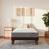 Cama Europea CIC 1,5 Plazas Anatomic + Respaldo + Velador New Dublin Chocolate