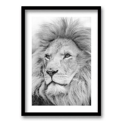 Cuadro Decorativo Retela León Gris 40 x 30 cm