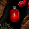 Perfume Ralph Lauren Polo Red EDP 75 ml