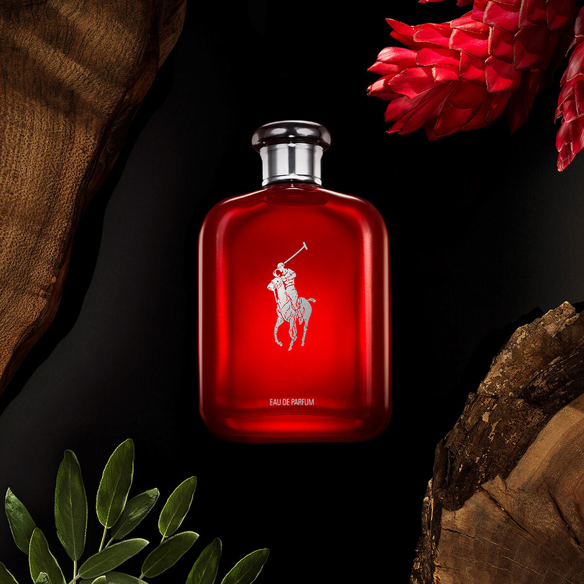 Perfume Ralph Lauren Polo Red EDP 75 ml