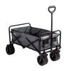 Carro de Arrastre Gris Bebesit