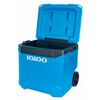 Cooler Igloo