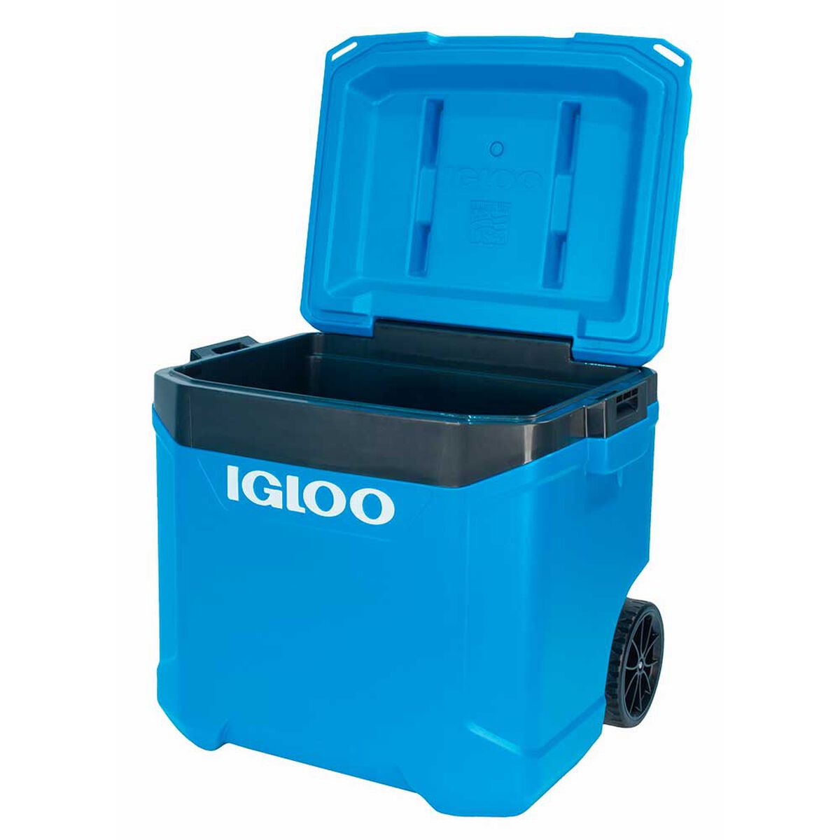 Cooler Igloo