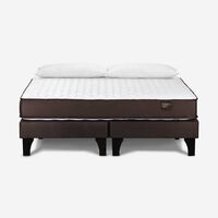 Cama Europea Rosen Base Dividida King Ergo T + 2 Almohadas Light King