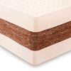 Cama Europea CIC Base Dividida King Cocopedic