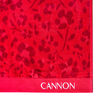 Toalla de Playa Cannon Brote 80x160 cm
