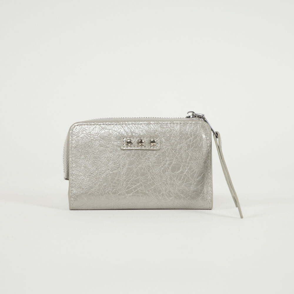 Billetera Silver Icono