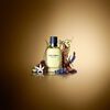 Perfume Dolce & Gabbana Hobre Pour Homme 200 ML