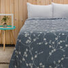 Frazada Estampada Dreams 1,5 Plazas Lily