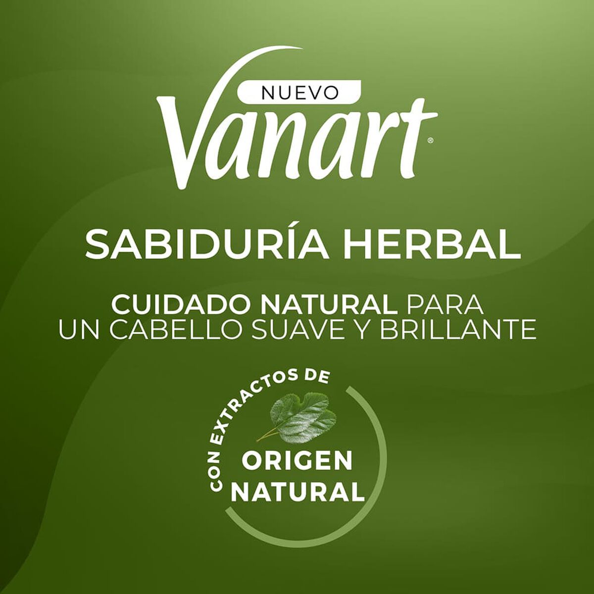 Shampoo Limpieza Profunda Sabiduría Herbal Vanart 600 ml