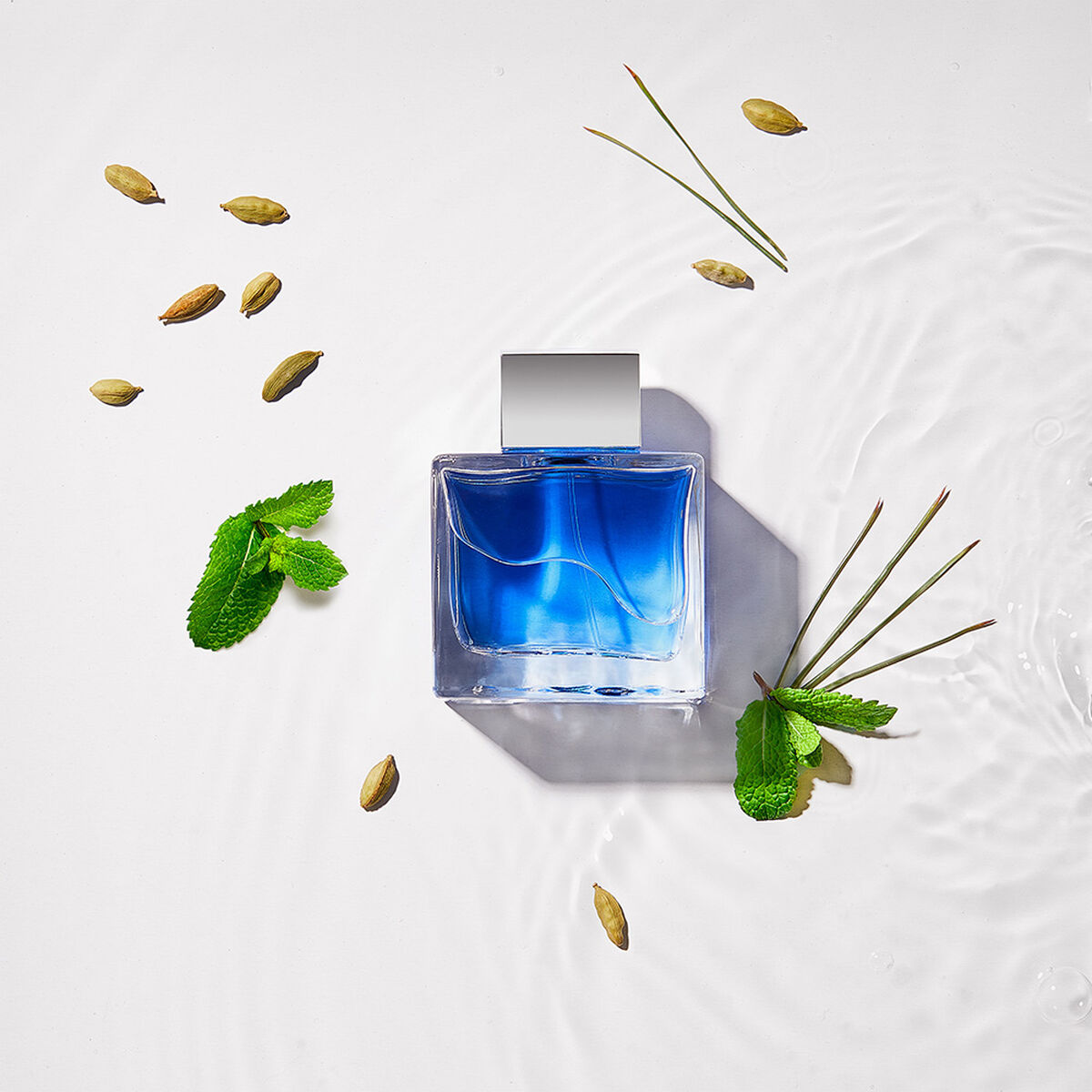 Perfume Antonio Banderas Blue Seduction Men EDT 100 ml