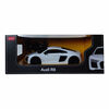 Auto Rastar Radiocontrolado Audi R8