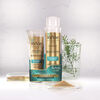 Pack Revie Shampoo + Máscara Revitalizador Brillo