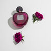 Perfume Antonio Banderas Set Her Secret Temptation EDT 50 ml + Body Lotion 75 ml