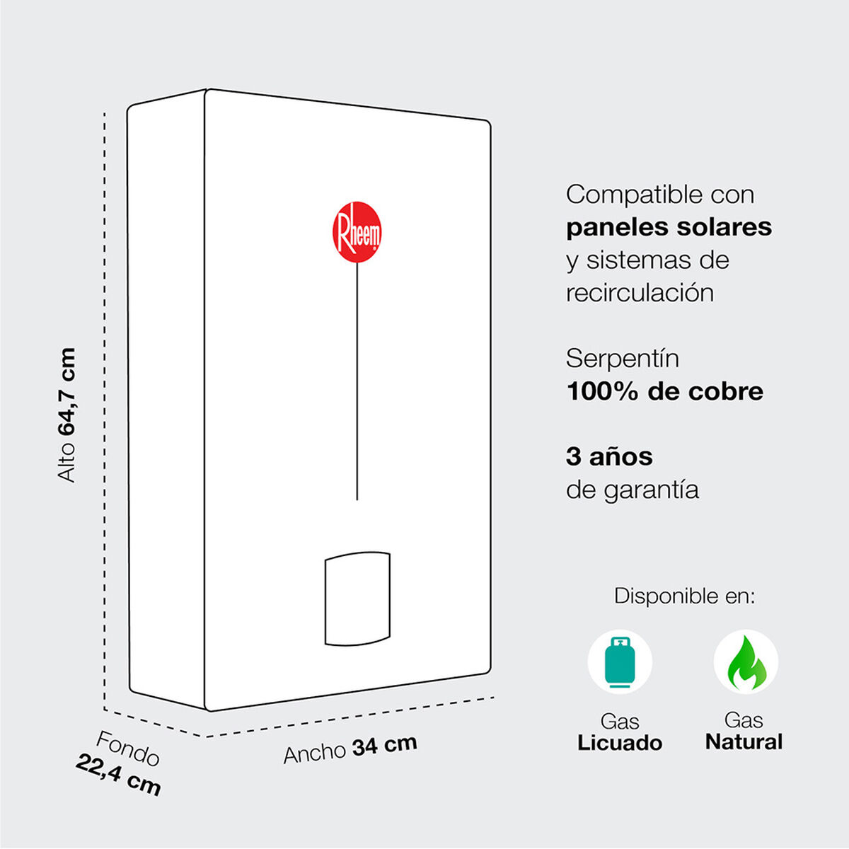 Calefont Gas Natural Rheem Tiro Natural Ionizado 10 lts.