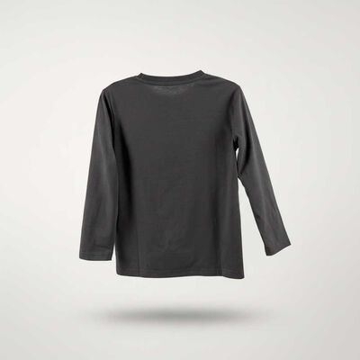 Imagen 2 del producto Polera Manga Larga Niño Licencias Gris