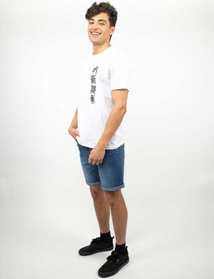 Imagen 2 del producto Polera Con Estampado Manga Corta Hombre Icono Blanco, Celeste, Ecru, Gris, Negro