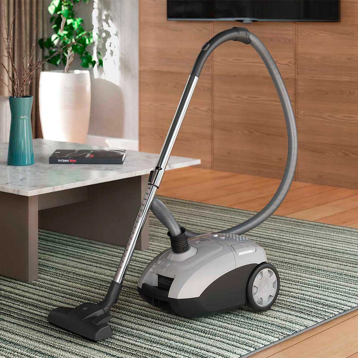 Aspiradora de Arrastre Electrolux Sonic Pro BGG30