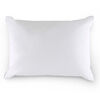 Almohada Microfibra Argenta 50x70 cm