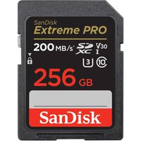 Memoria Sandisk SDSDXXD-256GB