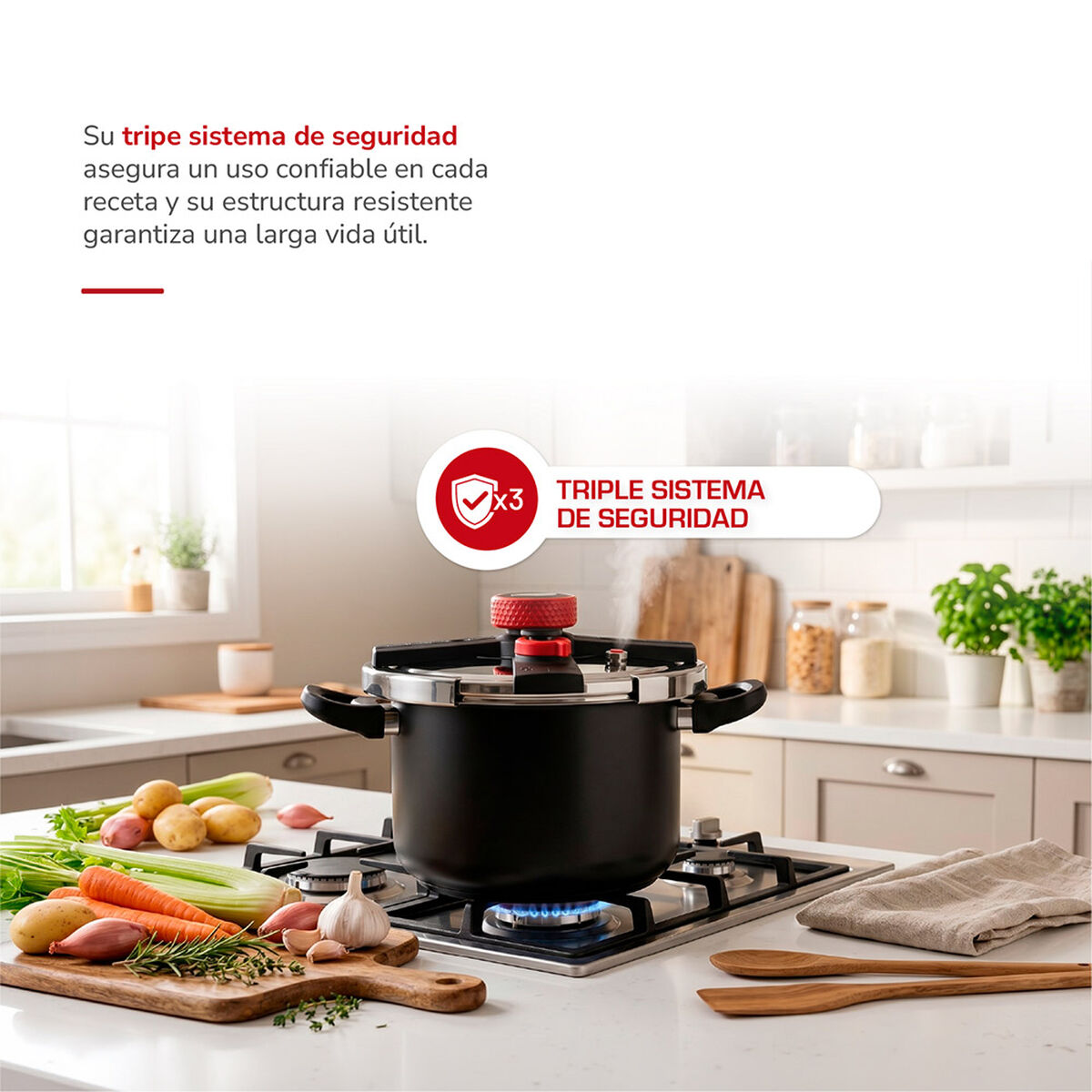 Olla a Presi&oacute;n Acero Inoxidable Thomas 8 L Negro
