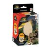 Set Huevo De Dinosaurio - Jurassic World Movie