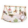Gimnasio Interactivo Boho Chic Luxe Tiny Love