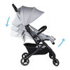 Coche de Paseo Epic Compact Grey