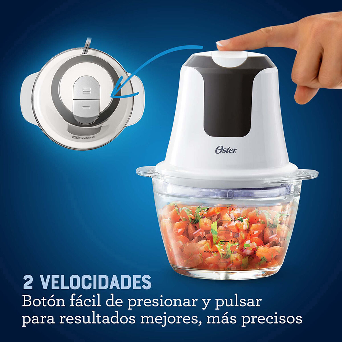 Picadora Oster FPSTFP3340-052