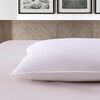 Pack 2 Almohadas Illusions 50 x 70 cm.Blanco