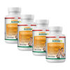 Carboblocker Fb 4 Meses X 2