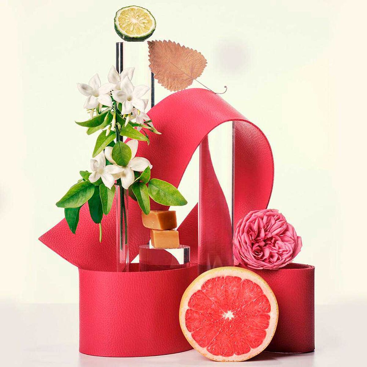 Perfume Carolina Herrera EDT 100 ml