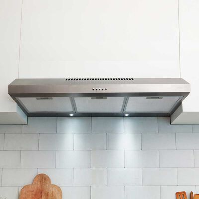 Imagen 2 del producto Campana FDV Class 90